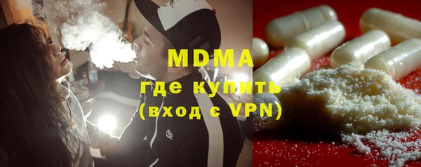 шишки Бородино