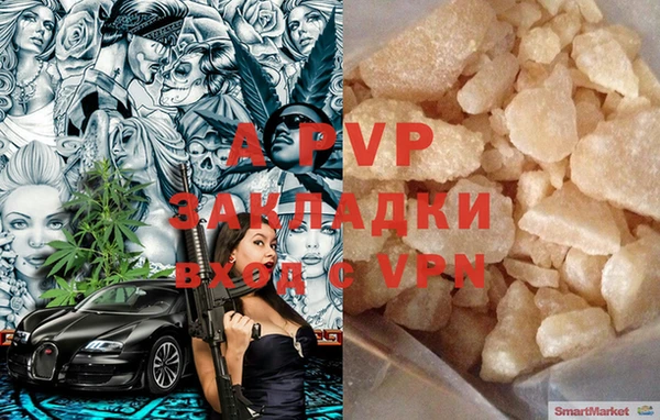 шишки Бородино