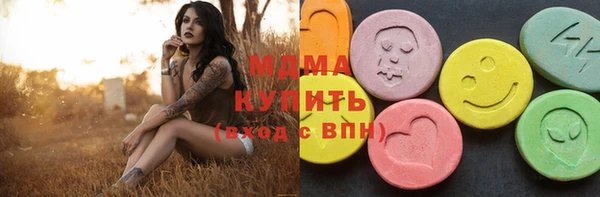 шишки Бородино