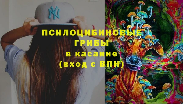 шишки Бородино