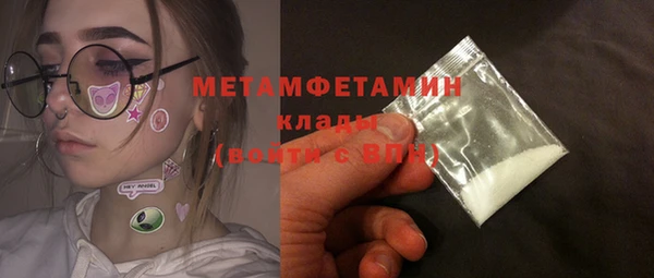 шишки Бородино