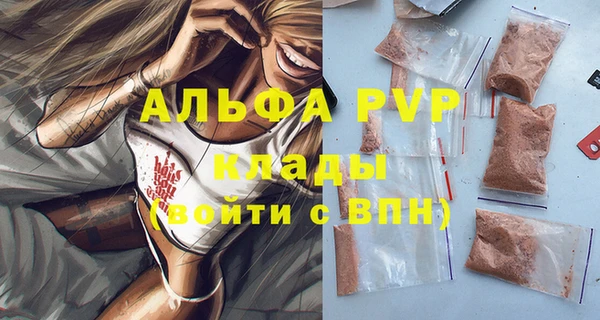шишки Бородино