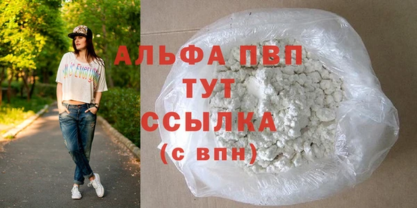 шишки Бородино