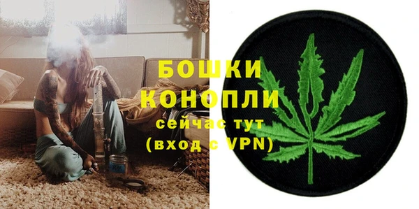 мдпв Бугульма