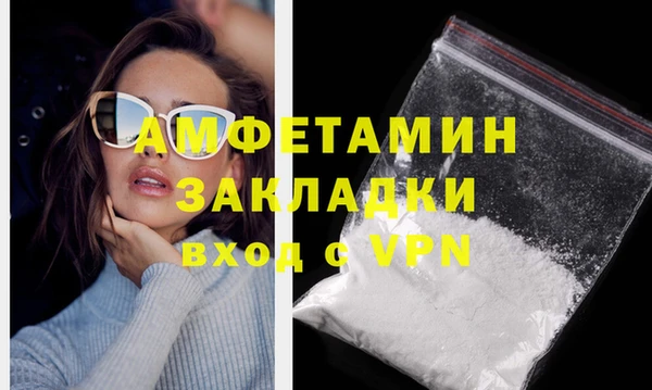 шишки Бородино