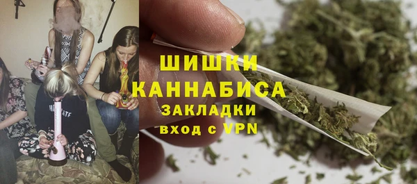 мдпв Бугульма