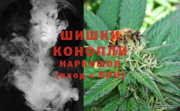 мдпв Бугульма